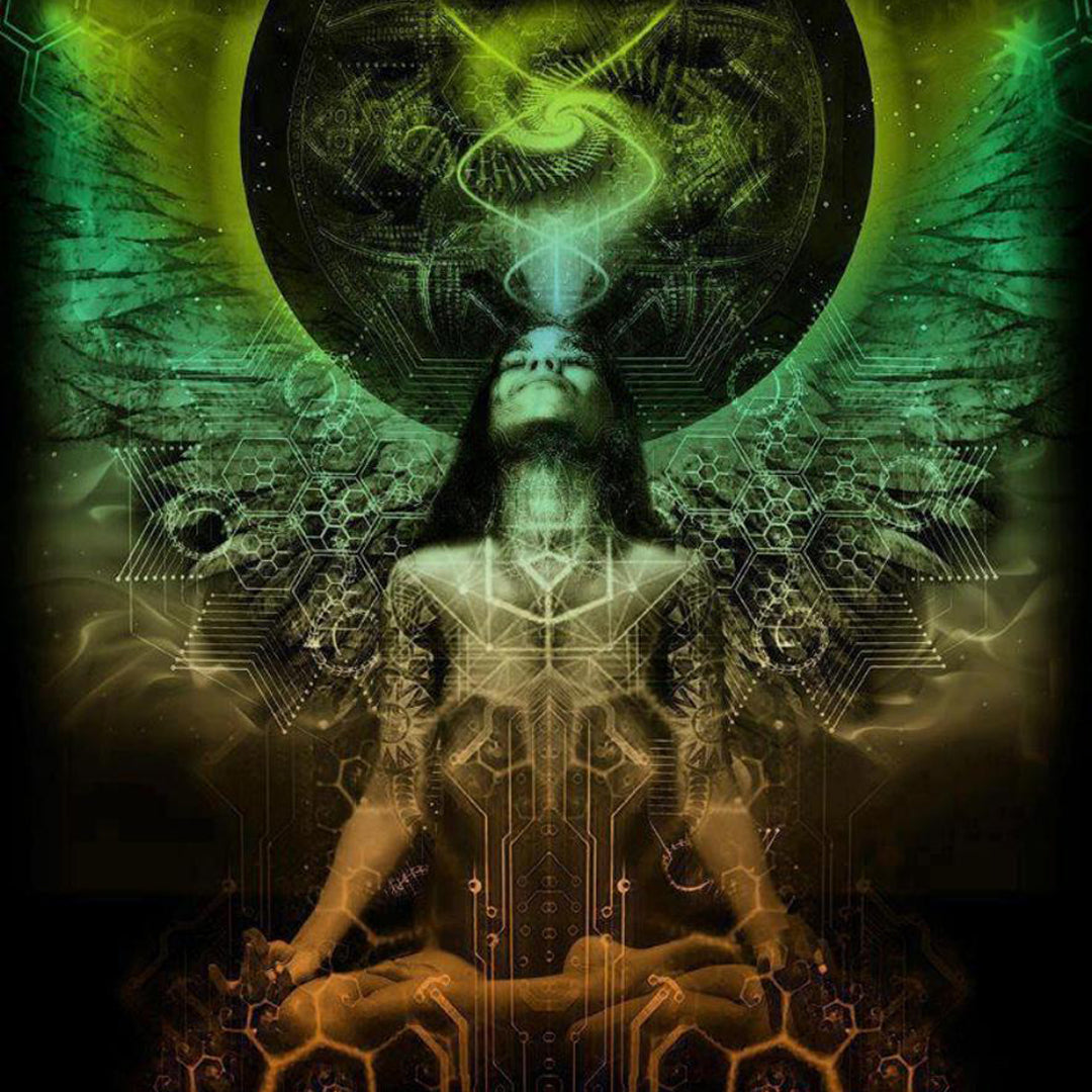 Are you a Modern Medicine Woman?