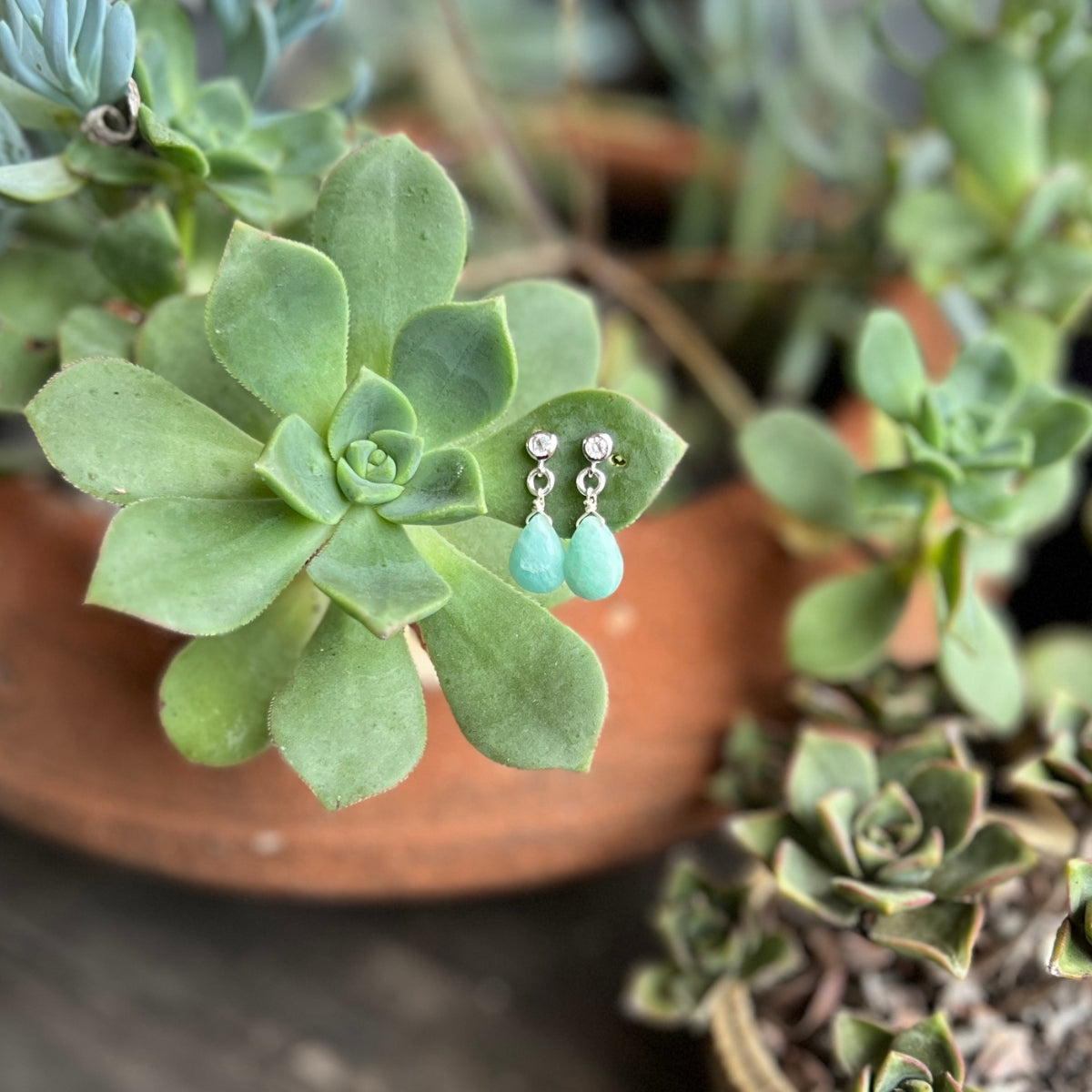 Petite Sparkle Earrings