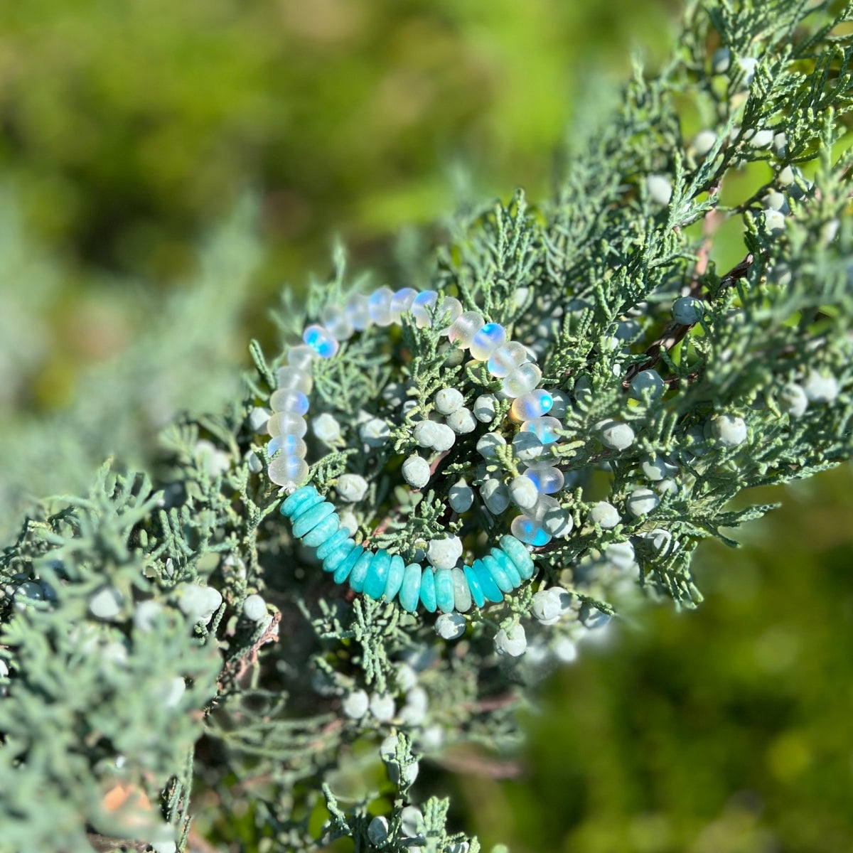 Gogh Jewelry Design