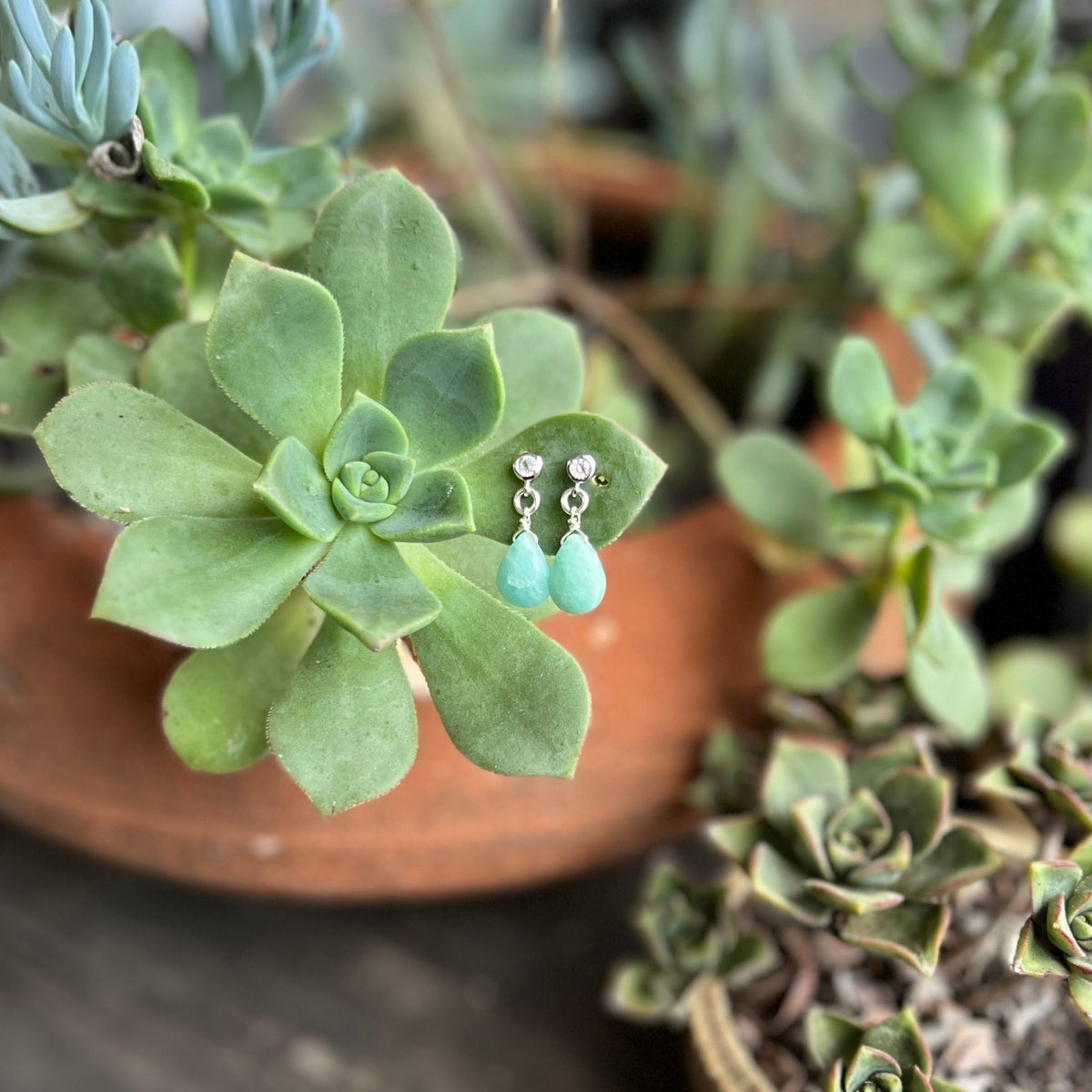 The captivating Petite Sparkle - Amazonite Earrings are meticulously crafted for individuals who resonate with a free-spirited lifestyle, seek crystal healing, and desire the tranquil energy of Amazonite.