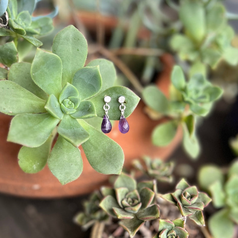 The enchanting Petite Sparkle - Amethyst Earrings designed for free-spirited individuals with a penchant for crystal healing and positive vibes, these earrings are a testament to both elegance and spiritual connection.