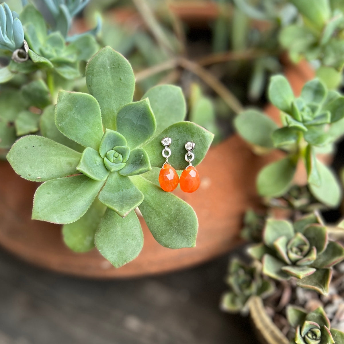 The vibrant Petite Sparkle - Carnelian Earrings are meticulously crafted for individuals who embrace a free-spirited lifestyle, resonate with crystal healing, and desire the energizing warmth of Carnelian.