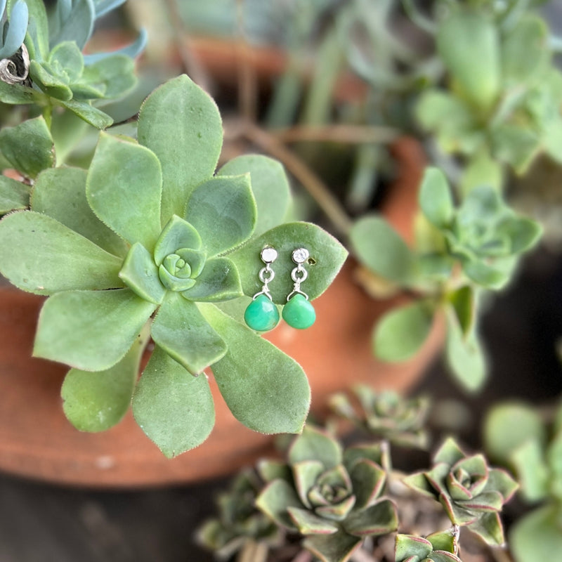 The exquisite Petite Sparkle - Chrysoprase Earrings are thoughtfully designed for individuals who embrace a free-spirited lifestyle, resonate with crystal healing, and seek the refreshing energy of Chrysoprase. 