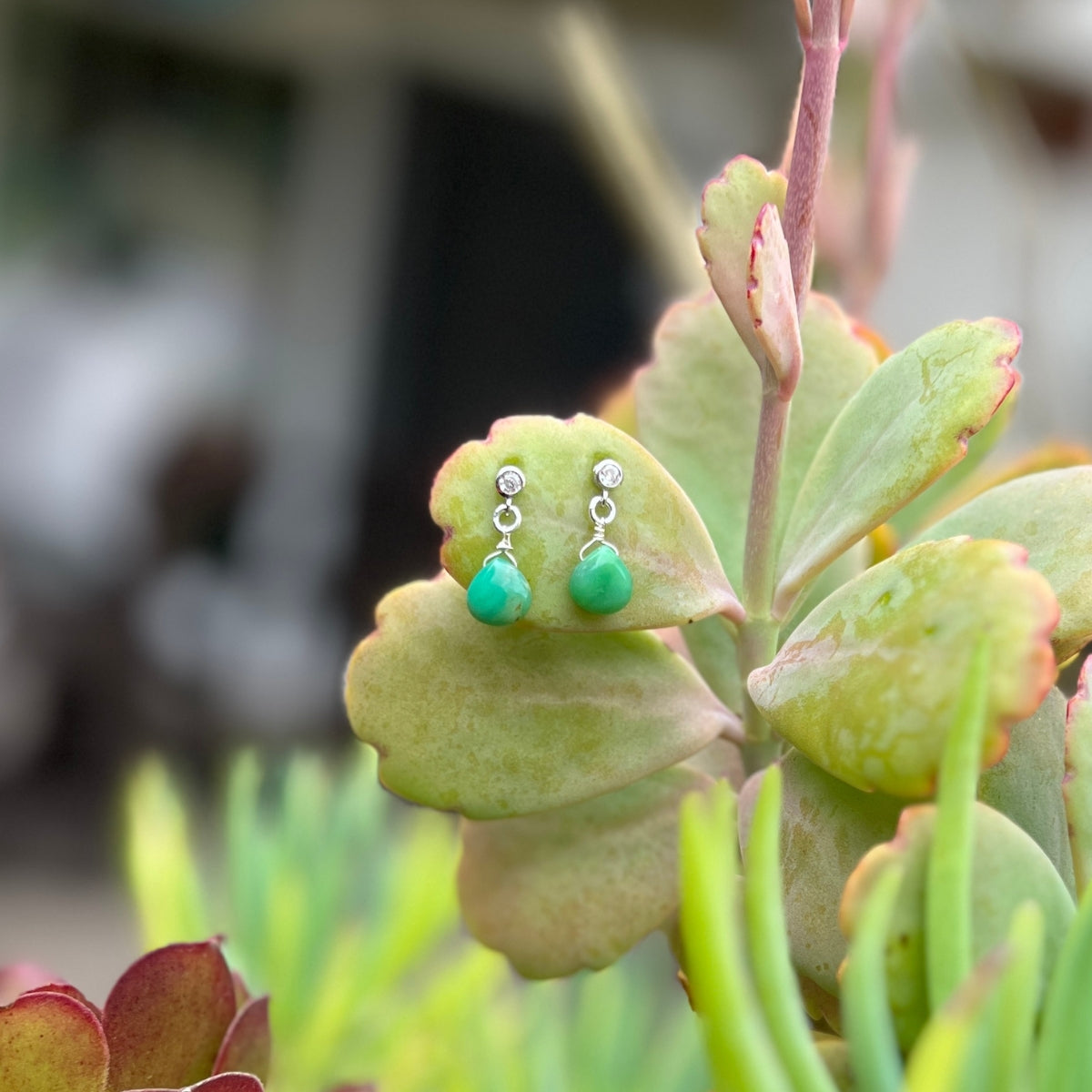 The exquisite Petite Sparkle - Chrysoprase Earrings are thoughtfully designed for individuals who embrace a free-spirited lifestyle, resonate with crystal healing, and seek the refreshing energy of Chrysoprase. 