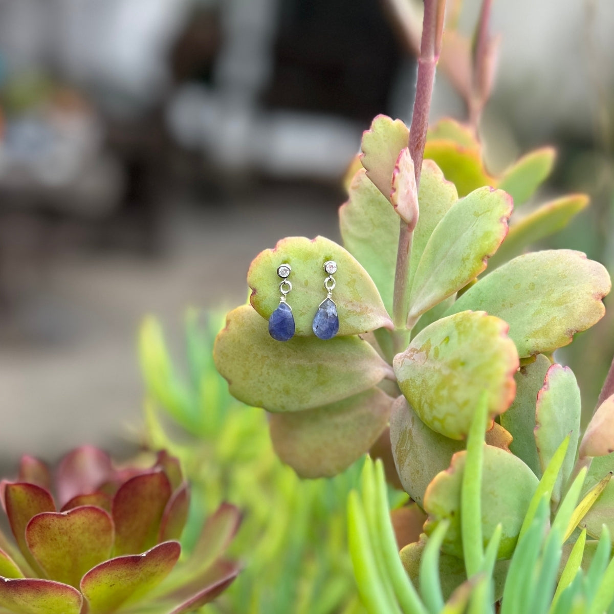 Introducing the enchanting Petite Sparkle - Tanzanite Earrings, thoughtfully crafted for individuals who embody a free-spirited lifestyle, resonate with crystal healing, and seek the mystical energy of Tanzanite. 