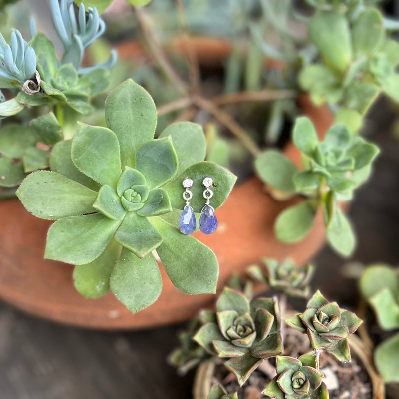 Introducing the enchanting Petite Sparkle - Tanzanite Earrings, thoughtfully crafted for individuals who embody a free-spirited lifestyle, resonate with crystal healing, and seek the mystical energy of Tanzanite. 