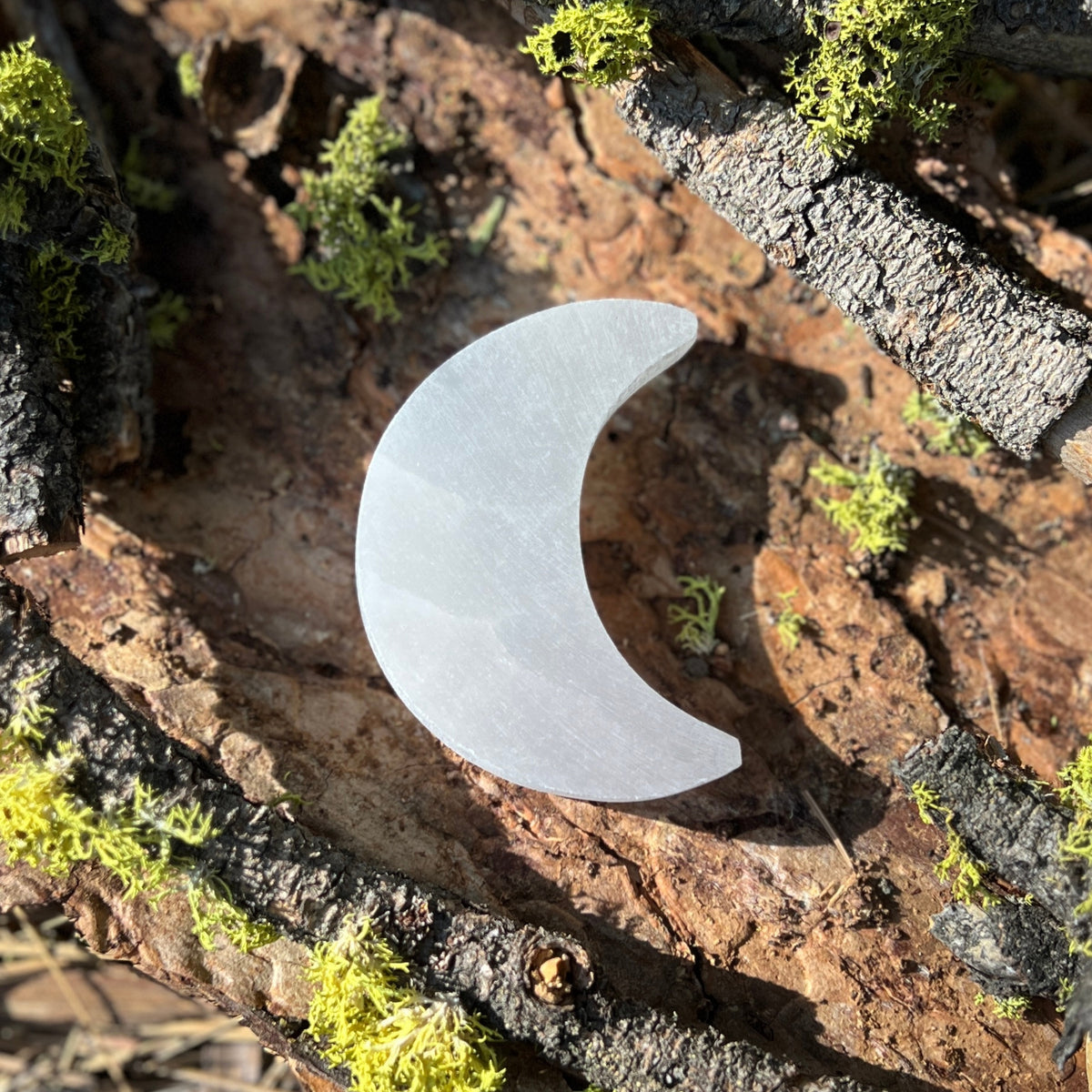 Equinox Moon