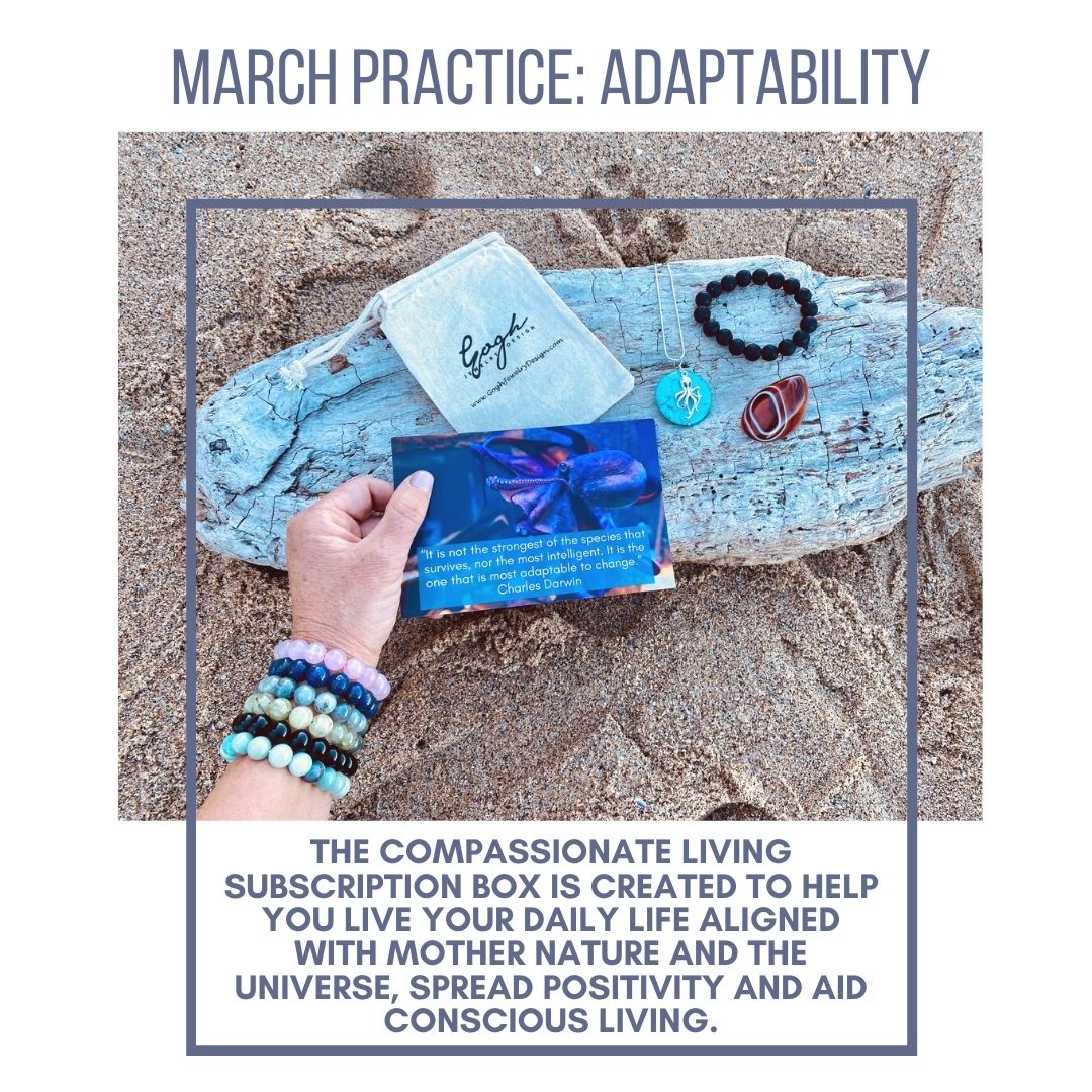 Adaptability - Compassionate Living Practice Box